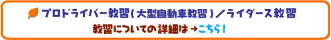 プロドライバー教習（大型自動車教習）／ライダース教習など、教習についての詳細はこちら！
