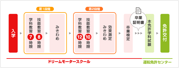 大型自動車第二種免許（MT）の主な流れ（所持免許が大型自動車免許の場合）イメージ